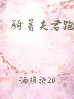 骑着夫君跑世界