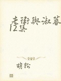 老卫与淑蓉1一12集