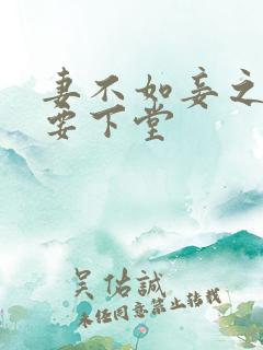 妻不如妾之夫人要下堂