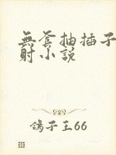 无套抽插子宫内射小说