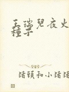 王瑞儿夜火全套种子