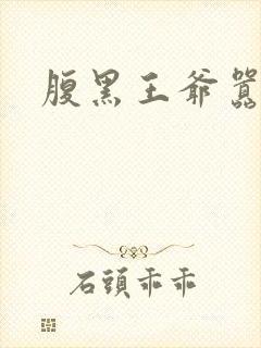 腹黑王爷嚣张妻