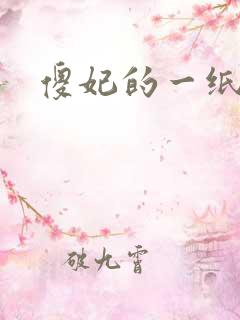 傻妃的一纸休书