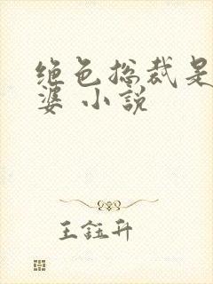 绝色总裁是我老婆 小说