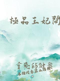 极品王妃闹王府