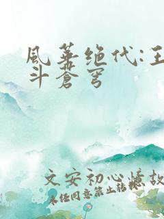 风华绝代:王妃斗苍穹