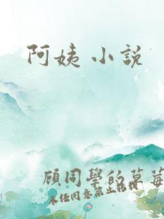 阿姨 小说