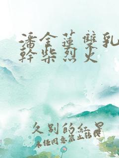 潘金莲双乳晃动干柴烈火