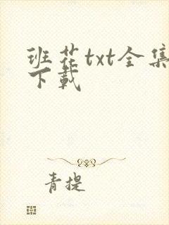 班花txt全集下载