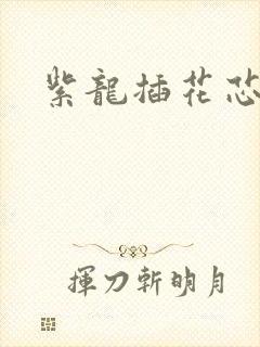 紫龙插花芯方正