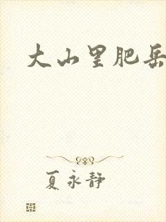 大山里肥岳小说