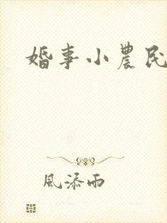 婚事小农民