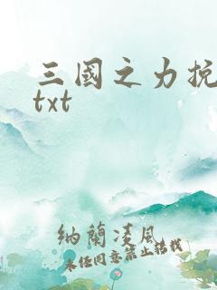 三国之力挽狂澜txt