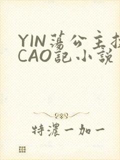 YIN荡公主挨CAO记小说