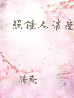 照镜人消瘦小说