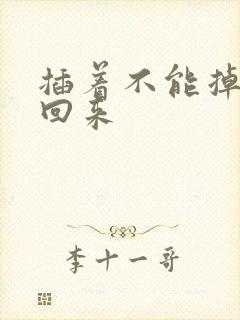 插着不能掉等我回来