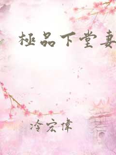 极品下堂妻