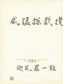 威猛总裁扑娇妻