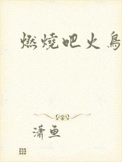 燃烧吧火鸟小说