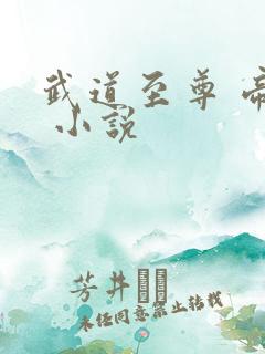 武道至尊 帝临 小说