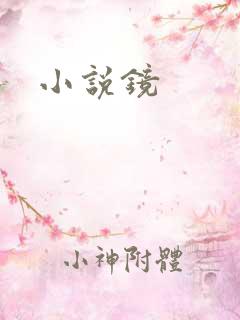 小说镜