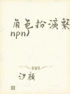 角色扮演系统(npn)
