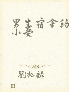 男生宿舍的公共小受