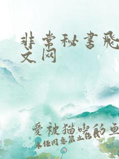 非常秘书飞速中文网