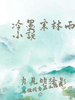 冷墨寒林雨彤的小说