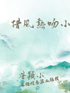 借风热吻小神明