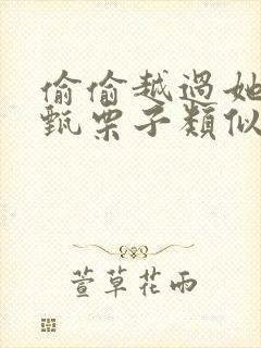 偷偷越过她by甄栗子类似小说