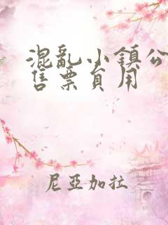 混乱小镇公交车售票员用