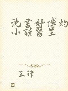 沈书妤傅灼抖音小说医生