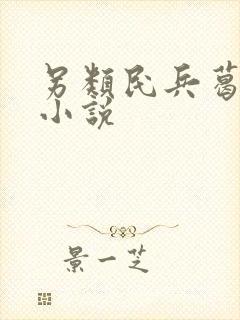 另类民兵葛二蛋小说