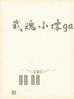 武魂小坏ga