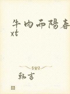 牛肉面阳春面txt