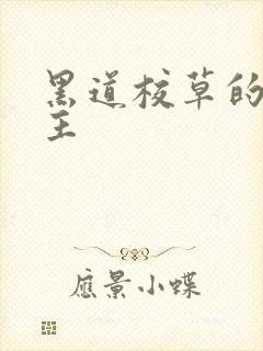 黑道校草的冷公主