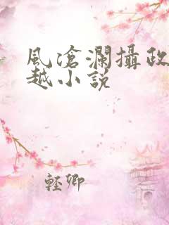 风沧澜摄政王穿越小说