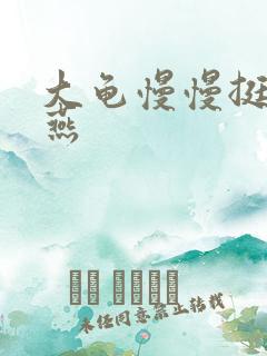 大龟慢慢挺进张燕