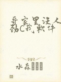 哥家里没人使点劲C我软件