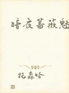 暗夜蔷薇魅