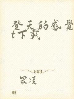 登天的感觉txt下载