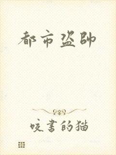都市盗帅