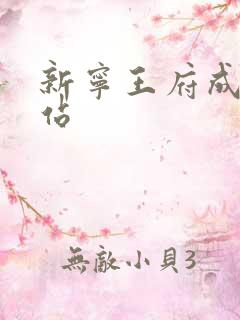 新宁王府成人网站