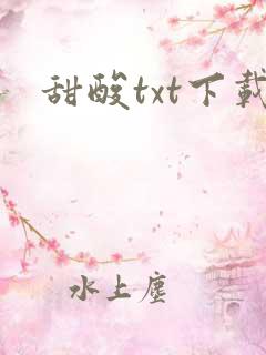 甜酸txt下载