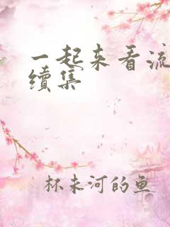 一起来看流星雨续集