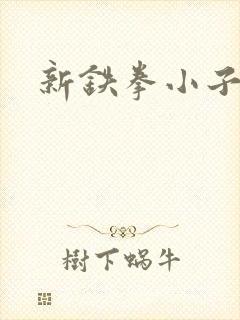新铁拳小子