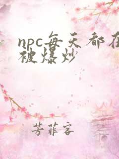 npc每天都在被爆炒