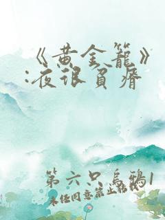 《黄金笼》作者:夜很贫瘠