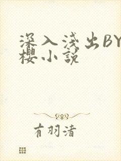 深入浅出BY胖樱小说